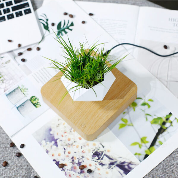 Levitating Air Rotating Planter