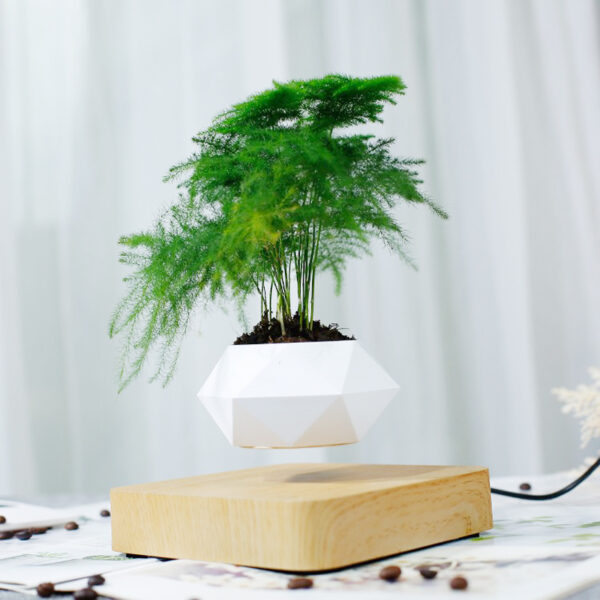 Levitating Air Rotating Planter