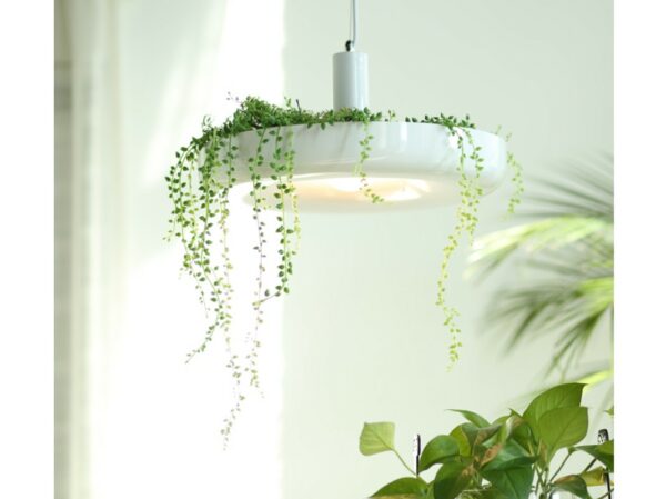 2 in 1 Pendant Lighting with Flower Pot