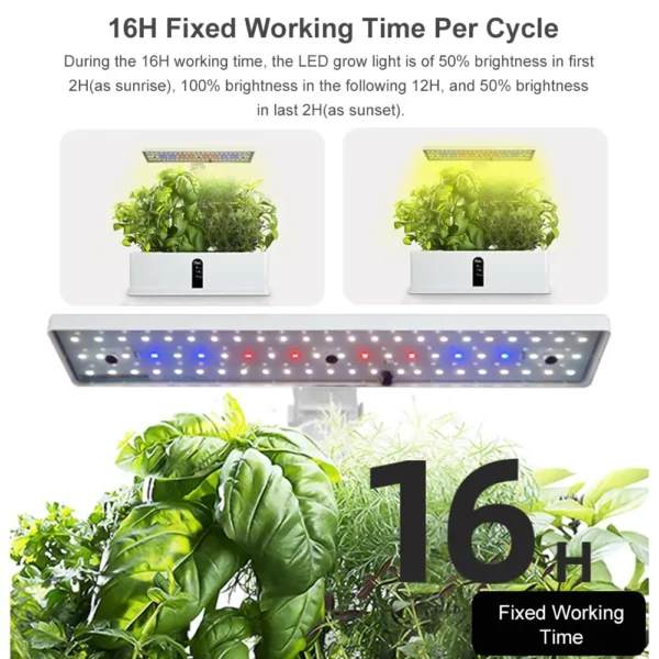 Hydroponics Growing System Automatic Timing Indoor Garden Kit 9 Pods Height Adjustable 15W LED Grow Lights 2L Water Tank